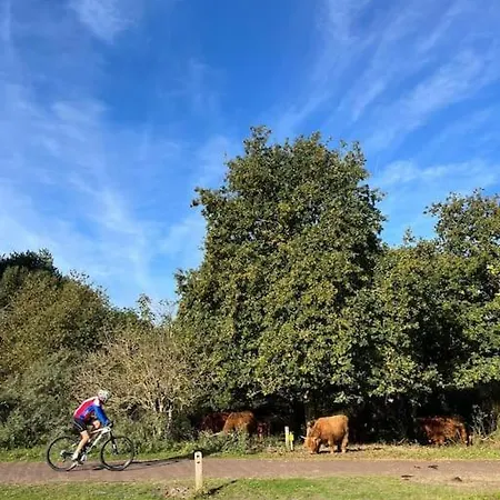 Zon, Zee & Zo - Comfortabel Op Loopafstand & Centrum Apartment *