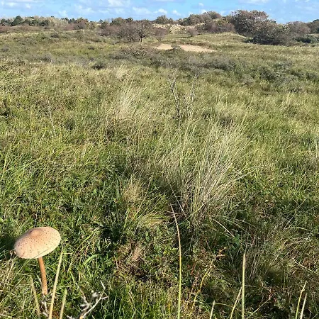 Zon, Zee & Zo - Comfortabel Op Loopafstand & Centrum Egmond aan Zee