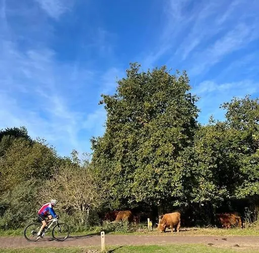 Zon, Zee & Zo - Comfortabel Op Loopafstand & Centrum Appartamento *