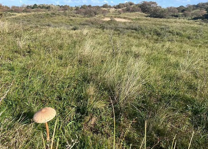 Zon, Zee & Zo - Comfortabel Op Loopafstand & Centrum Egmond aan Zee
